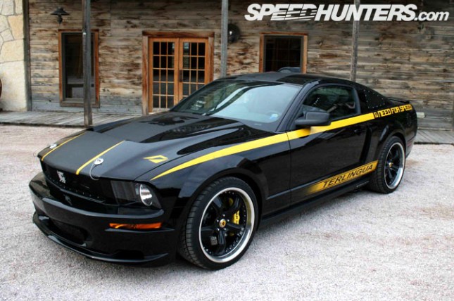 shelby_terlingua_mustang