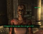 fallout3-2008-11-15-23-43-10-45