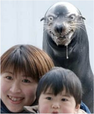 evil_seal