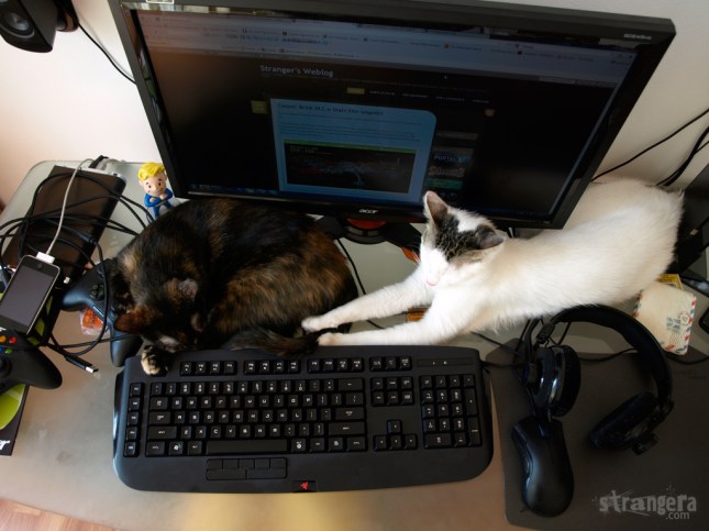 Нагли жЕвотни!