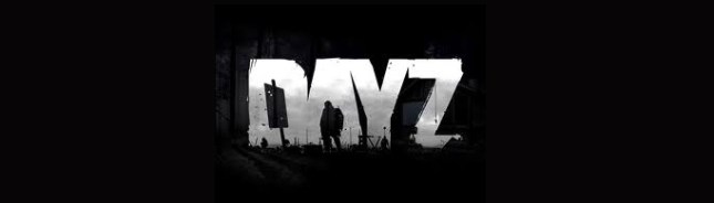 dayz