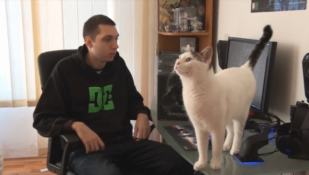 Mako-and-the-Orbweaver