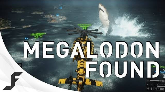 MEGALODON FOUND