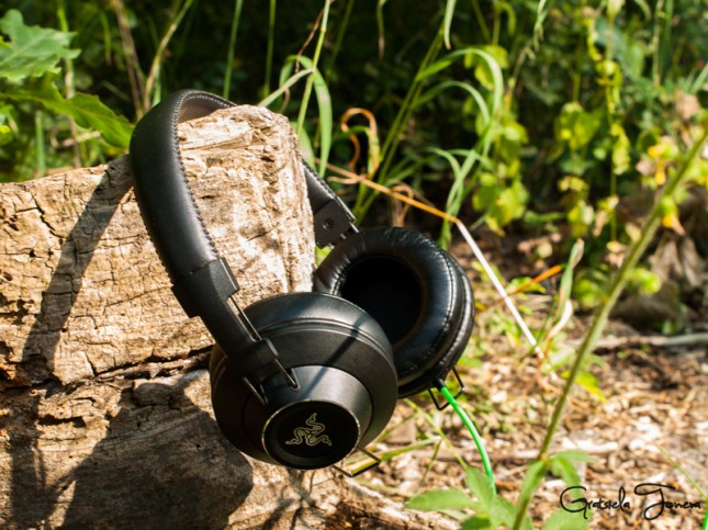 Razer Adaro Stereo (8)