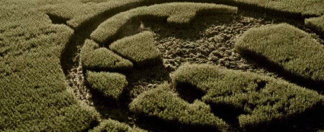 Our-Leader-the-Mockingjay