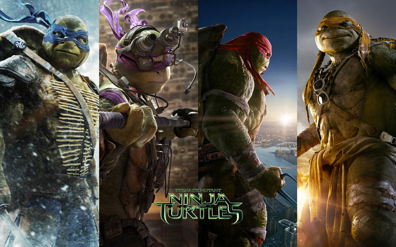 Teenage Mutant Ninja Turtles (1)