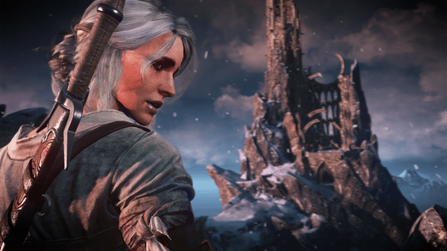 Ciri_ashen-haired.0.0