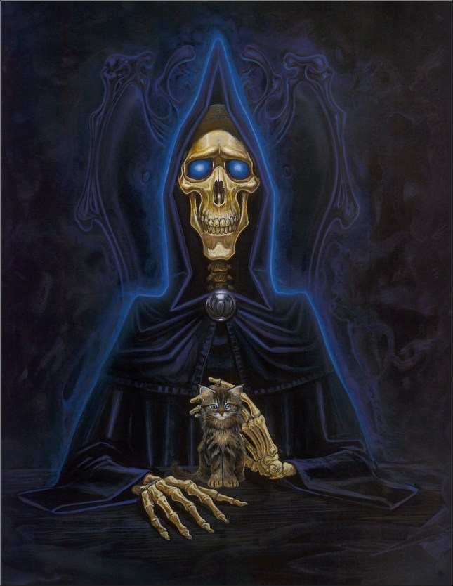 tumblr_mqn3iwizwh1qggudjo1_1280