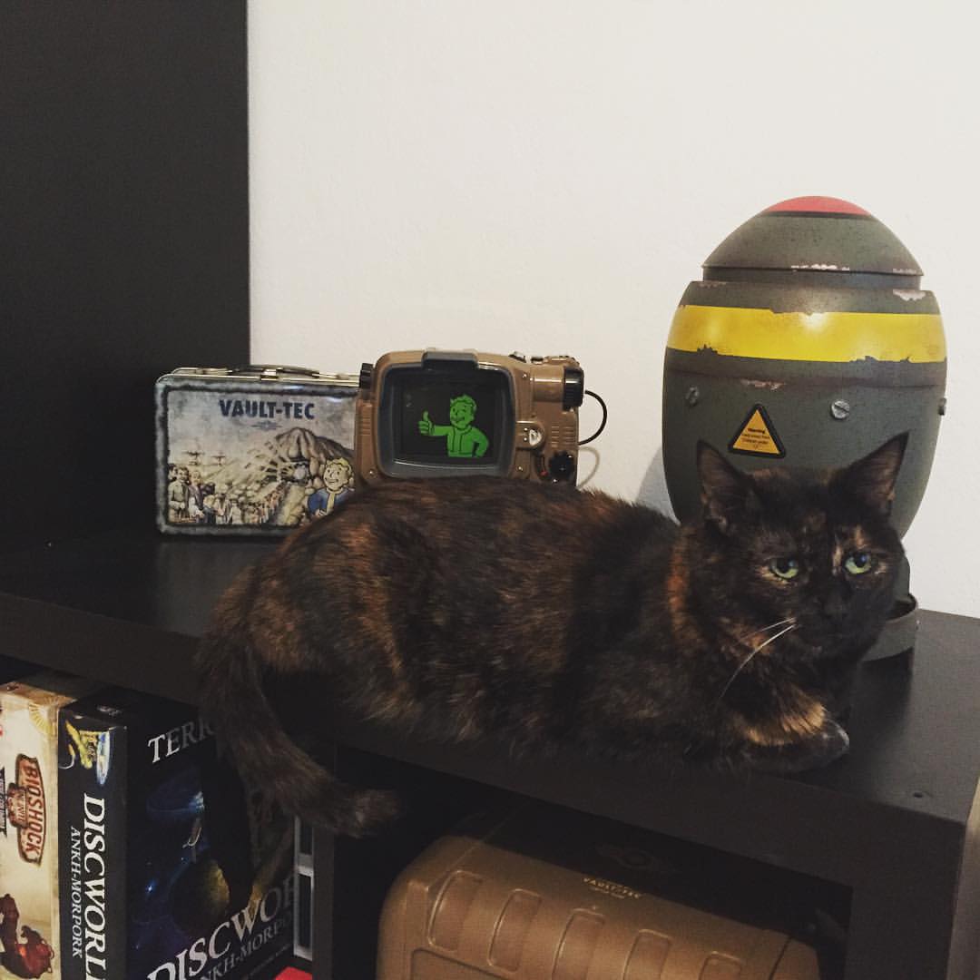 Fallout 4 Pip-Boy Edition